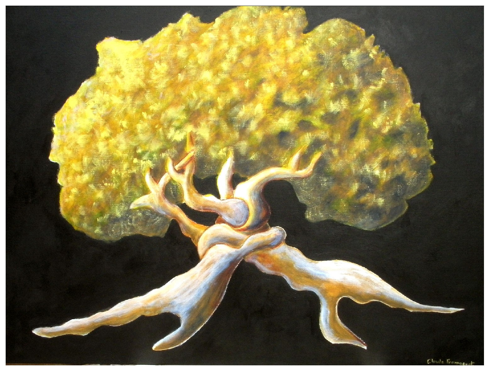 Les amants de la f&ocirc;ret