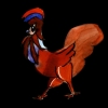 Coq 1